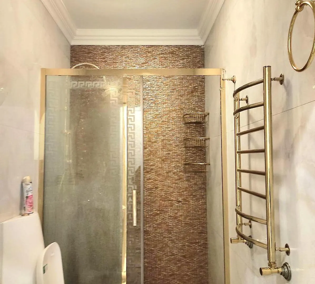 Apartment In The Center, With 2 Bedrooms! Baku 0*,  Azerbaijan